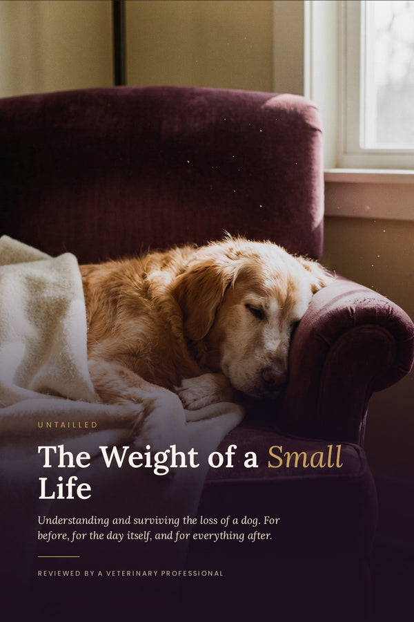 The Weight of a Small Life