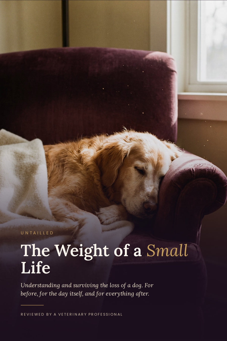The Weight of a Small Life