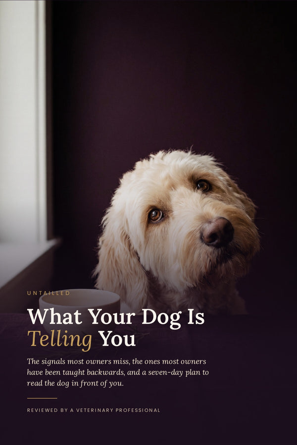 What Your Dog Is Telling You